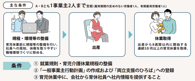 主な条件